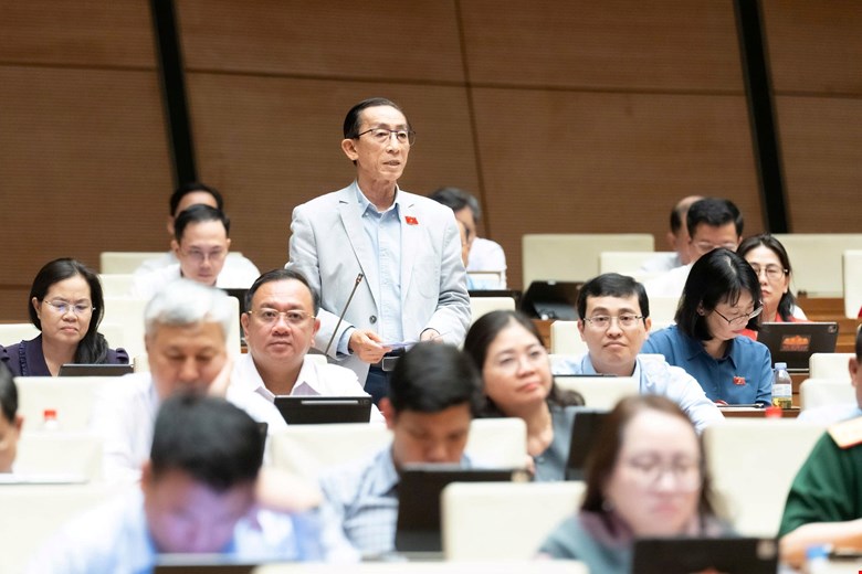 Đại biểu Trần Hoàng Ngân (TPHCM) - ảnh: QH