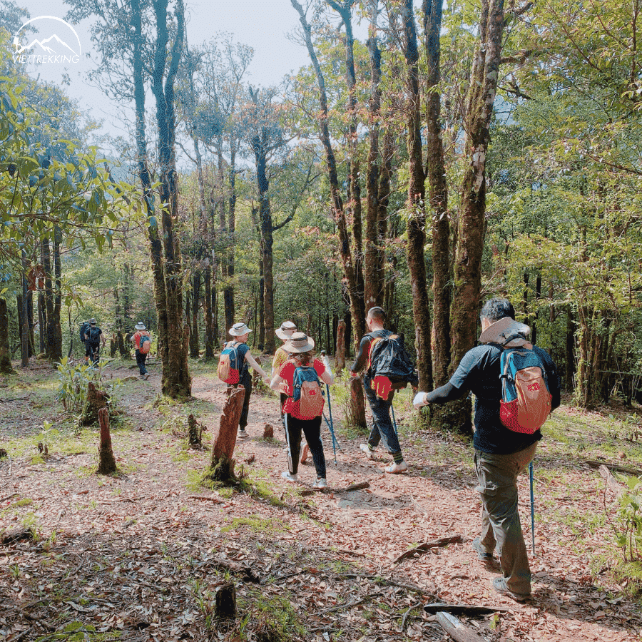 Khi đi trekking cần trang bị đầy đủ dụng cụ, thể lực và kiến thức để chuyến đi luôn được an toàn - Ảnh: Viettrekking