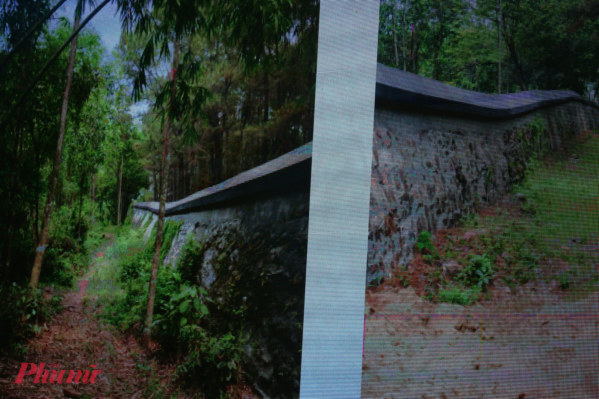 Liên quan đường dạo quanh la thành quang lăng Tự Đức 