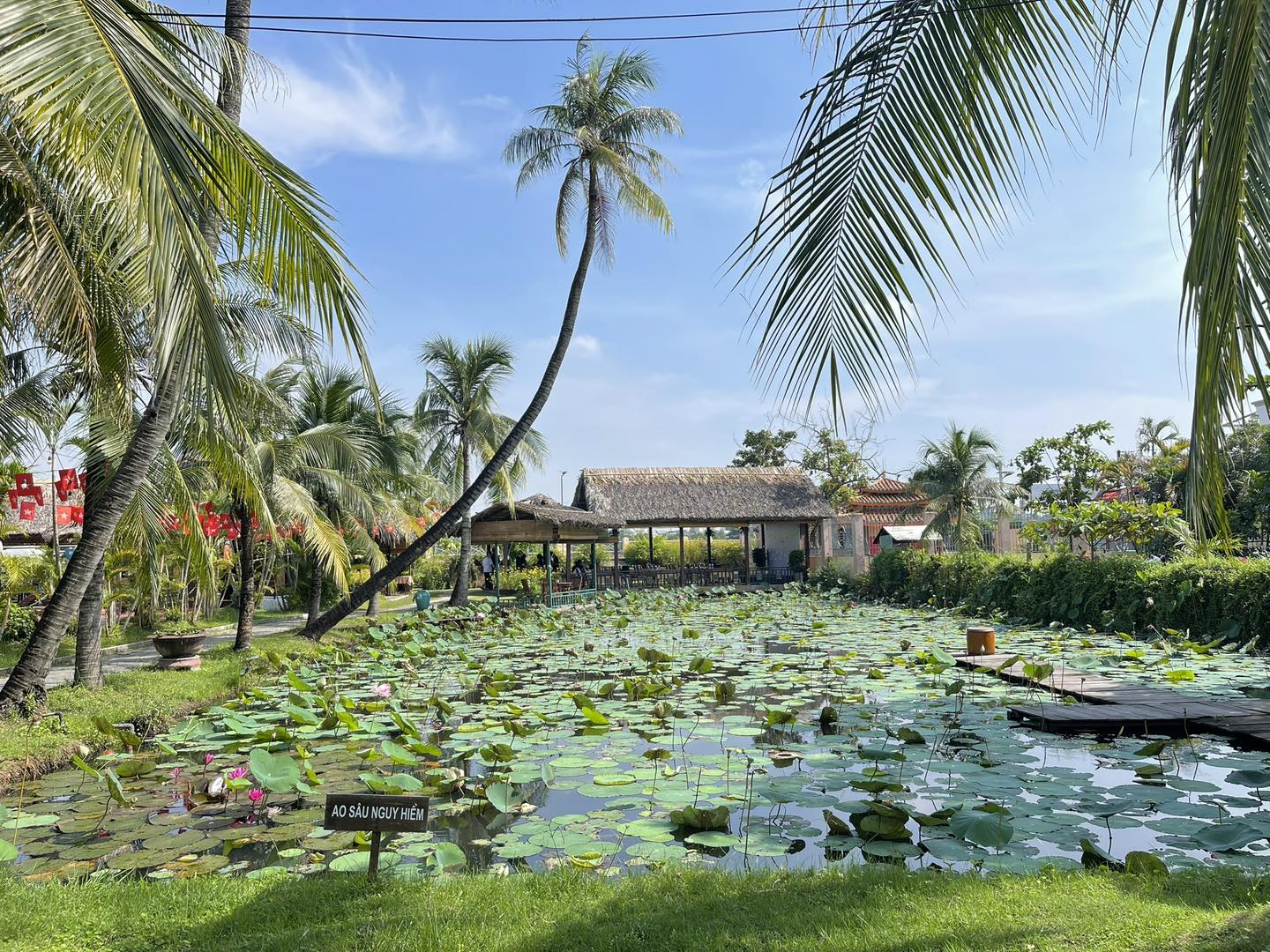 4. Khu du lịch Bình Quới 7  Bình Quới mang không khí miền Tây rõ rệt: cầu tre, ao sen, hàng dừa. Đi vào là thấy chậm lại ngay, khác hẳn bên ngoài. Không gian nhiều cây xanh, gần sông nên khá mát. Phù hợp đi ăn uống, dạo chơi nhẹ nhàng hoặc chụp ảnh. Với những ai không có thời gian đi xa, đây là kiểu “đi miền Tây phiên bản mini” ngay trong thành phố.