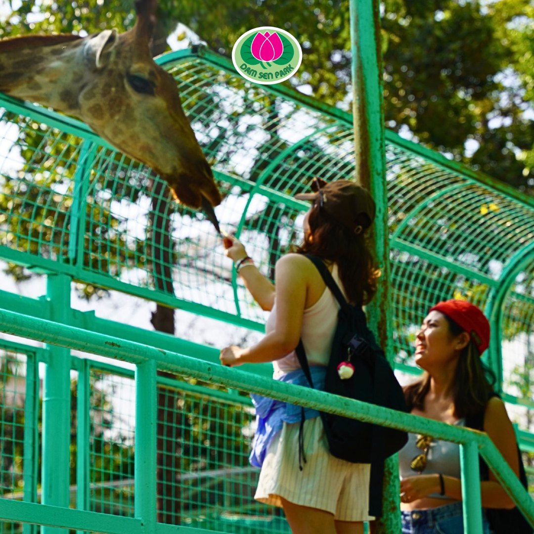 Dịp Giỗ Tổ Hùng Vương, Đầm Sen thường có thêm các hoạt động mang màu sắc văn hóa như biểu diễn múa lân, sân khấu ca múa nhạc hoặc chương trình tái hiện không khí lễ hội truyền thống. Không quá rầm rộ như Tết, nhưng vẫn đủ để tạo cảm giác “đi chơi mà có lễ”. Ban ngày có thể dạo công viên, chơi trò hoặc xuống khu nước giải nhiệt, chiều tối thì xem biểu diễn nhẹ nhàng. Không gian rộng, nhiều cây nên vẫn giữ được cảm giác mát và dễ chịu, phù hợp cho gia đình vừa vui chơi vừa tận hưởng không khí ngày lễ.