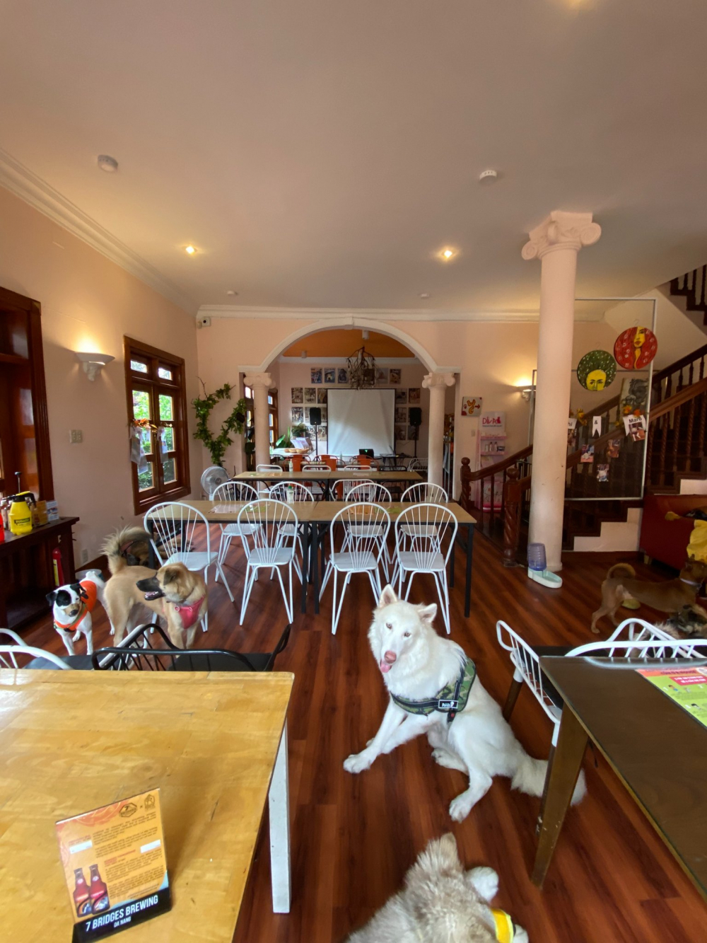 R House (42/7/8 Đ. TCH 03, phường Trung Mỹ Tây) là một quán brunch khá đặc biệt được thành lập từ lòng nhân ái của nhóm gồm hai chàng trai người Việt, Mỹ và một cô gái người Philippines. Quán có không gian rộng rãi, thoáng mát với hồ bơi và khoảng sân nhỏ. Thực khách yêu thích R House không chỉ vì những món ăn của quán mà còn bởi quán là ngôi nhà thân thương của rất nhiều chú chó bất hạnh, được những người chủ tại đây giải cứu và nuôi dưỡng.