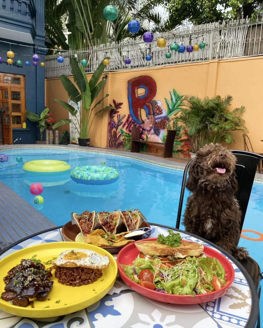 Menu của R house vô cùng đa dạng, chủ yếu là các món dành cho người ăn chay, thuần chay và một số món làm từ cá và thịt gà. Bên cạnh đó, menu được thiết kế vô cùng đáng yêu với hình ảnh các chú chó mèo vui cười hạnh phúc đã trở thành một điểm đặc biệt khác khiến nhiều người nhớ đến R House. Một số món nổi bật tại quán có thể kể đến như: Ravioli (dành cho người ăn chay và thuần chay), burger chay, bánh taco (nhân cá chay, nhân thịt và thịt gà), Mabuhay abode rice (món cơm truyền thống của Philippines), và nhiều món tráng miệng hấp dẫn khác. 