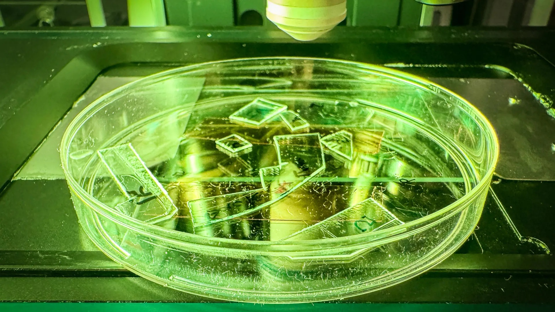 Các mẫu acrylic trong suốt với bề mặt cấu trúc nano được thiết kế đặc biệt nhằm biến thành một lớp phủ có khả năng phá vỡ virus khi tiếp xúc - Ảnh: Đại học RMIT