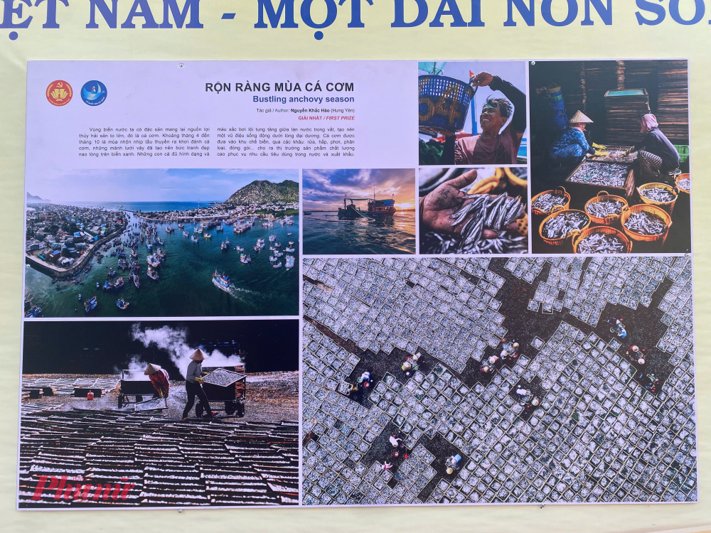 Tác phẩm xuất sắc đạt giải Nhất là Rộn ràng mùa cá cơm của tác giả Nguyễn Khắc Hào