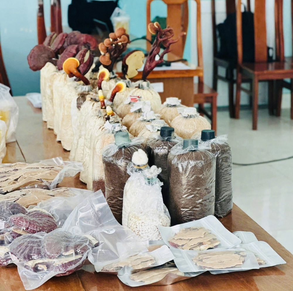 Tham gia khóa học, các học viên được miễn phí hoàn toàn. Toàn bộ nguyên vật liệu, dụng cụ phục vụ học tập đều được Hội LHPN xã Cần Giờ và Trung tâm Giáo dục nghề nghiệp Nông nghiệp Công nghệ cao TPHCM chuẩn bị đầy đủ.