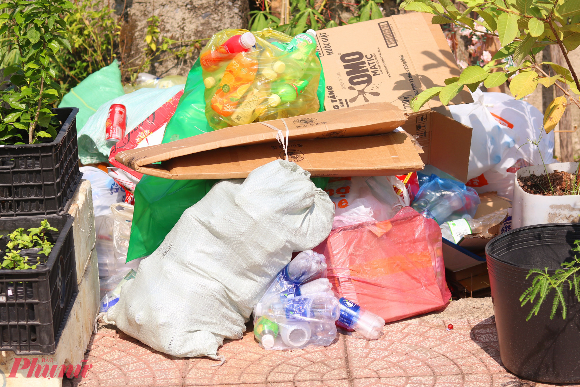 Trong số rác này, Hội LHPN phường An Lạc sẽ chọn ra những loại có thể tái chế thành chậu trồng cây, trồng hoa nhằm gầy dựng một khu vườn từ vật liệu tái chế, phần còn lại thì các chị bán để có kinh phí mua hạt giống cho những chương trình sau - Ảnh: Thảo Nguyên
