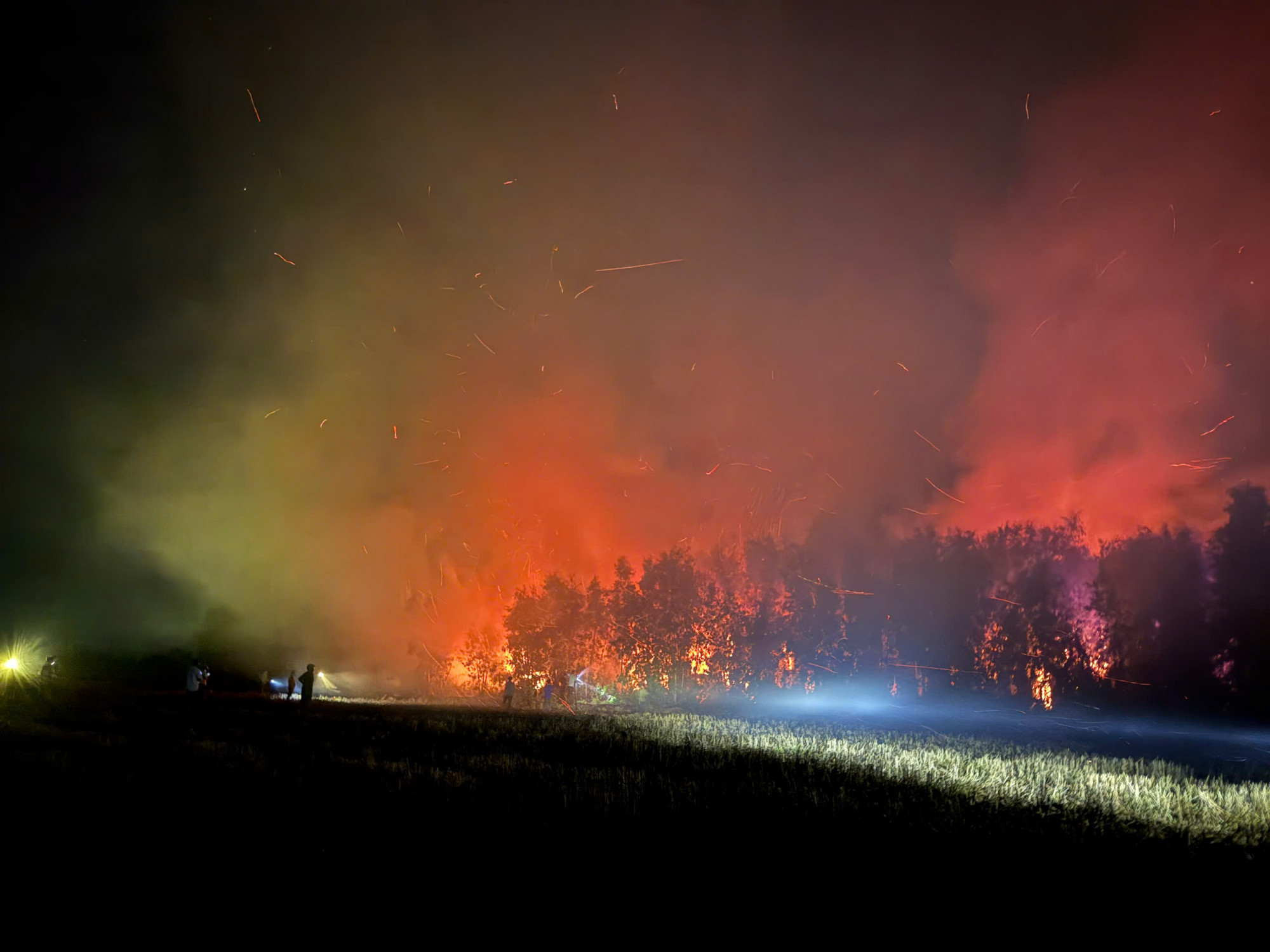 Khu vực cháy rừng tại xã Cô Tô - Ảnh CTV