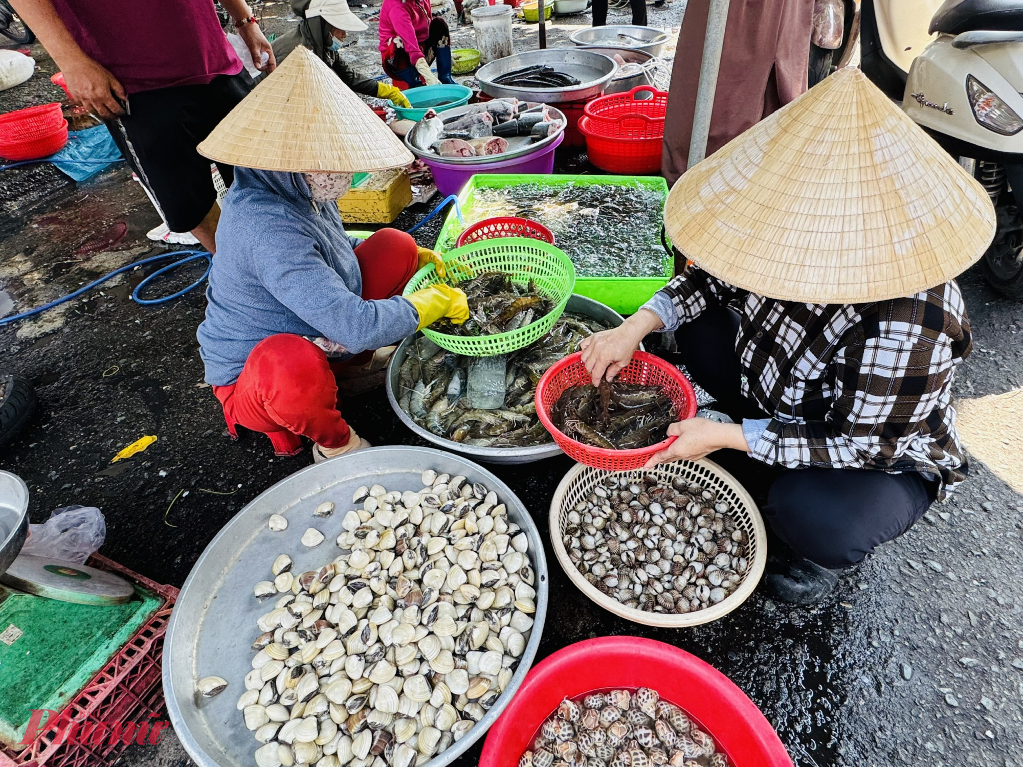 So với các dịp lễ trước, giá các loại thủy hải sản chỉ tăng nhẹ so với ngày thường khoảng 20.000 đồng/kg. 