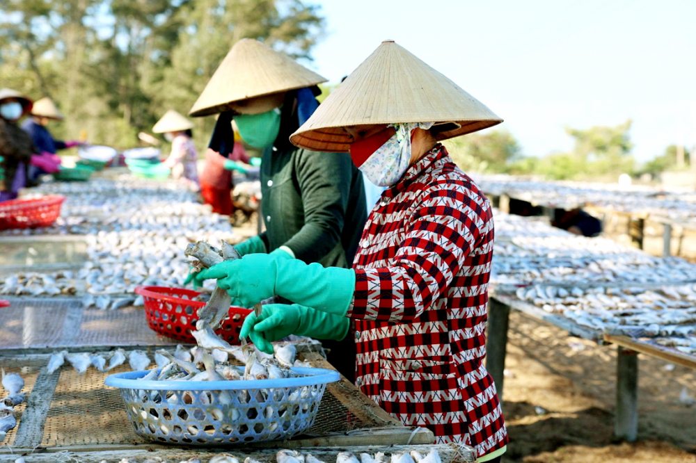 Đa số chị em phụ nữ ở làng chài làm nghề xẻ cá, bán khô