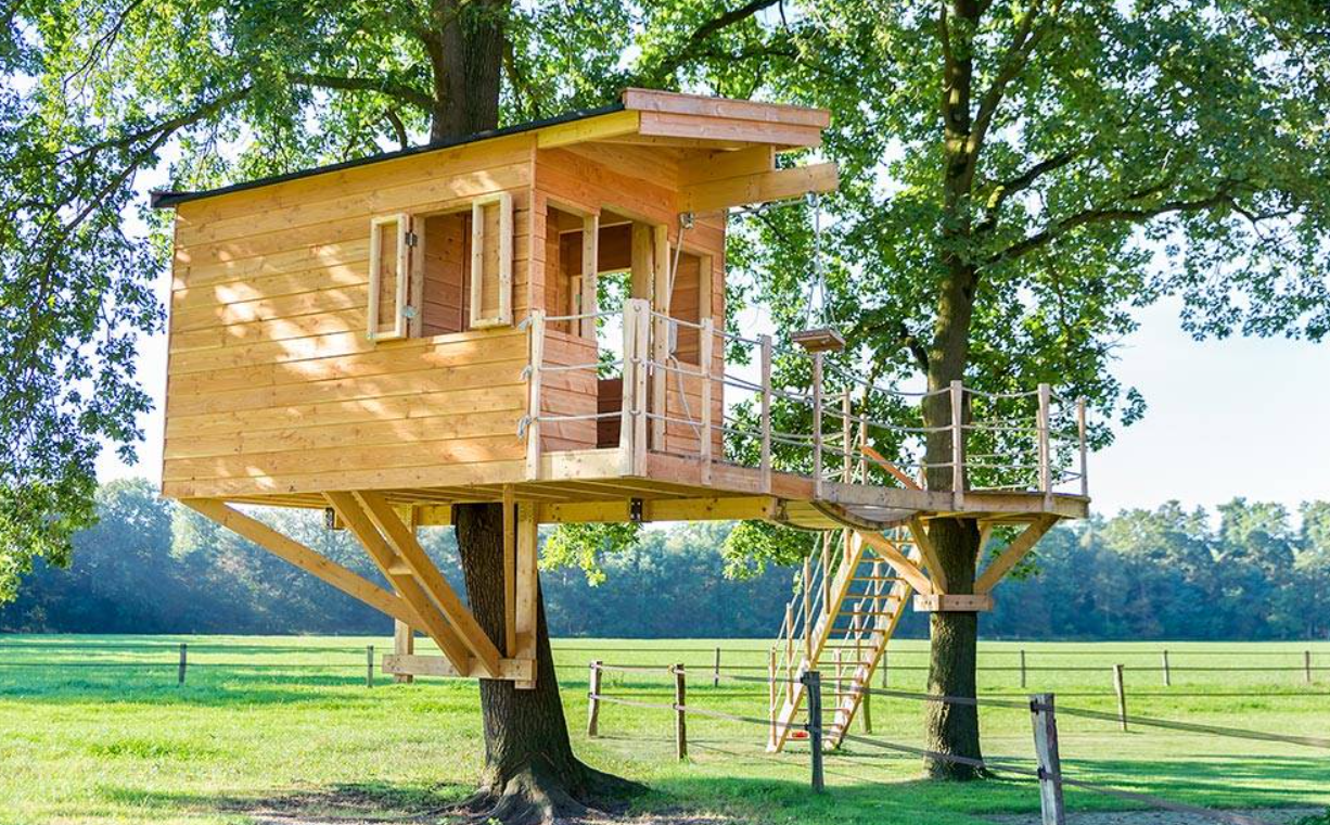 Hãy tân trang lại cái cây trong sân sau nhà bạn và biến nó thành một ngôi nhà chơi tuyệt vời cho trẻ em. Một ngôi nhà trên cây hoành tráng sẽ làm cho tuổi thơ của mỗi đứa trẻ trở nên kỳ diệu và thú vị hơn. Vì vậy, hãy mang đến cho chúng một phần tuổi thơ đó với kế hoạch xây nhà trên cây dành cho trẻ em của bạn. Với một chút kỹ năng mộc, bạn có thể đưa sự sáng tạo của mình lên cao trên một cái cây. Nguồn ảnh: Home Depot.