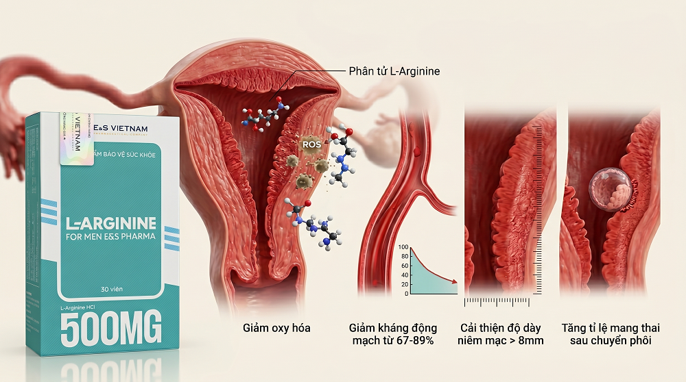 Số GPQC: 146/2025/XNQC-ATTP. Sản phẩm này không phải là thuốc và không có tác dụng thay thế thuốc chữa bệnh