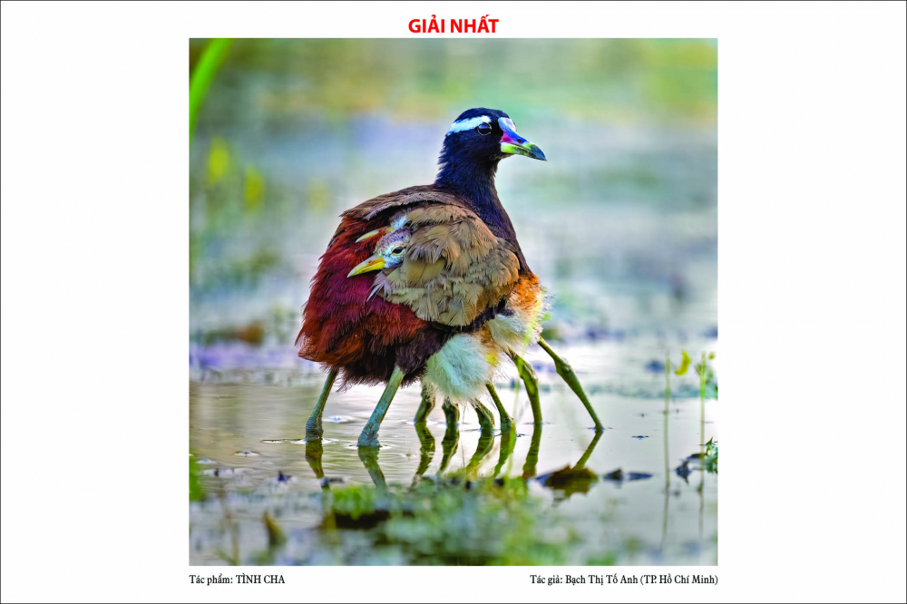 Tác giả đã tiếp cận đối tượng trong nhiều ngày, theo dõi 