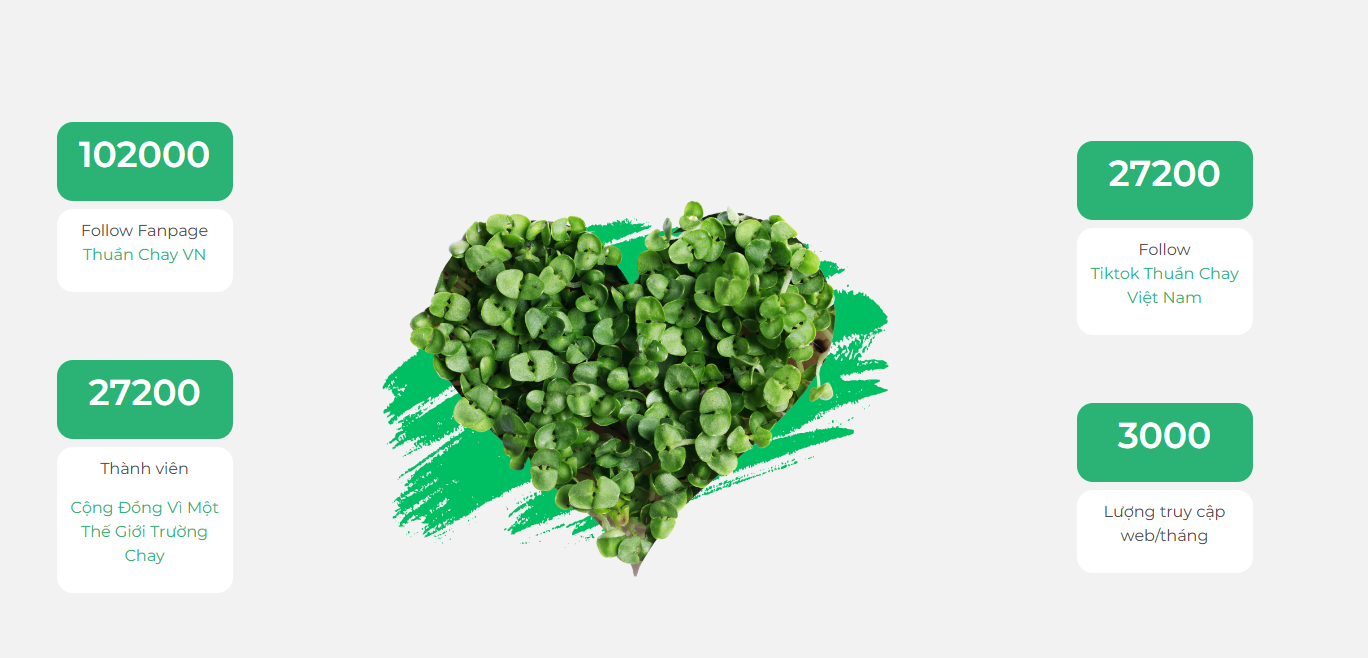 Lượng người truy cập Thuần Chay Việt Nam - Nguồn: website