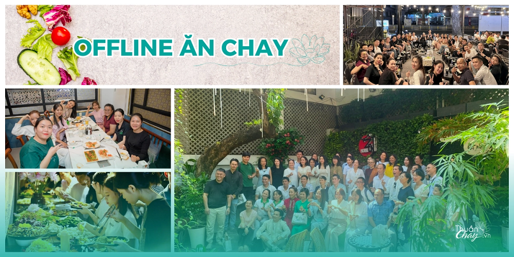 Một trong các hoạt động cộng đồng phi lợi nhuận từ Thuần Chay - Ảnh: Thuần Chay Việt Nam