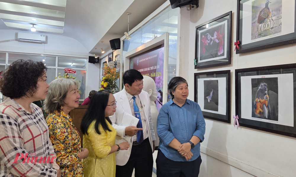 Tác giả Bạch Tố Anh (bìa phải) chia sẻ 