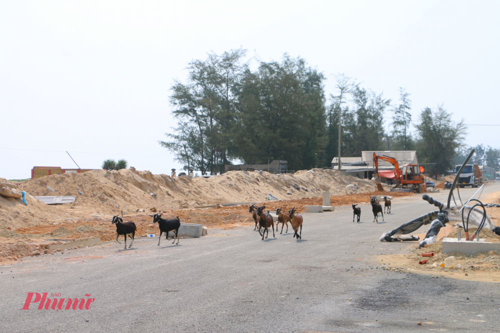 Ban Quản lý dự án Đầu tư xây dựng khu vực 1 TP Huế cho biết, đến nay đã bàn giao mặt bằng phía bắc cầu Thuận An đến đoạn đường Hồ Văn Đỗ