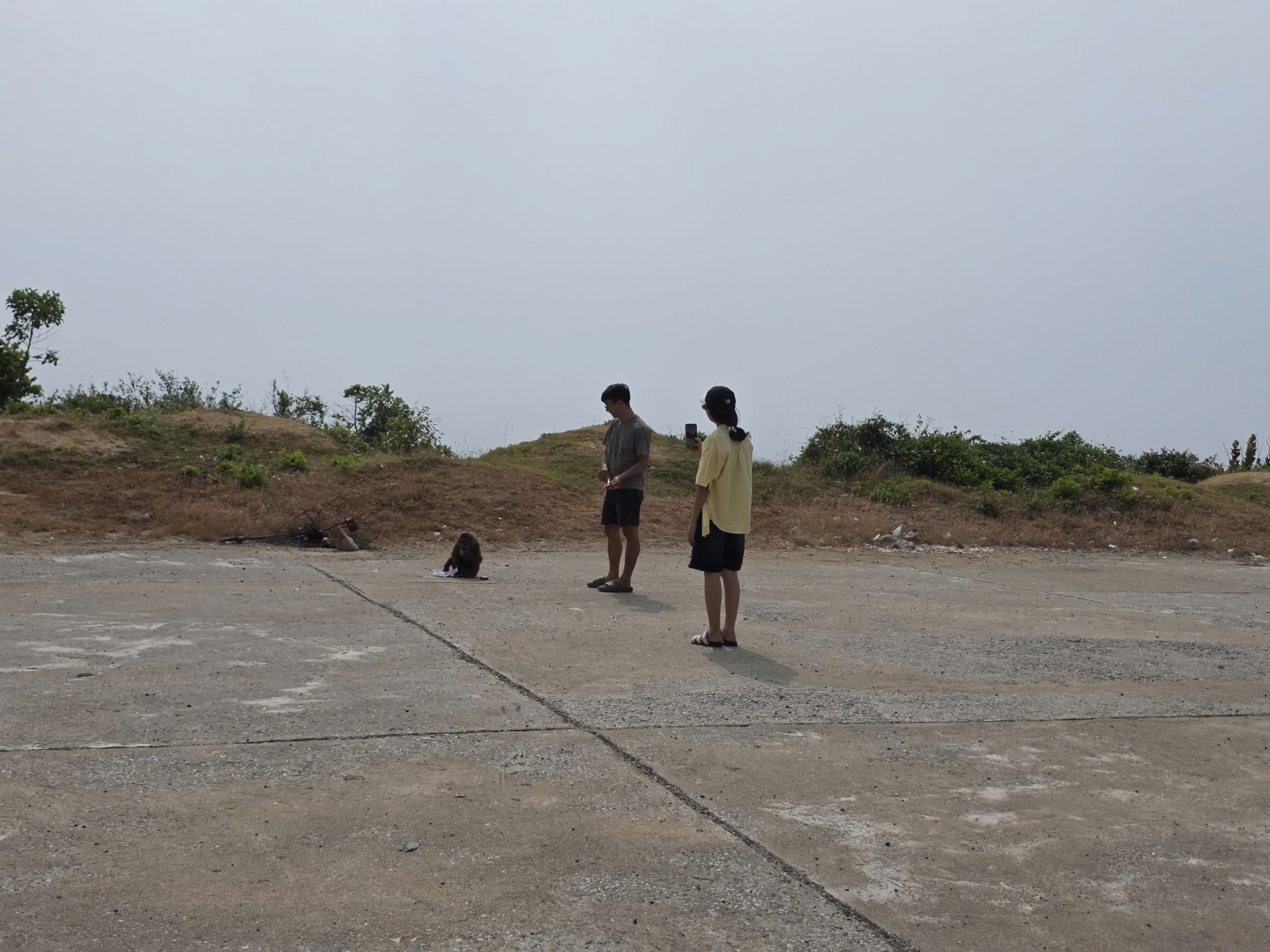  Khỉ hoang ở khu vực Bãi Tiên - ảnh: M.N. 