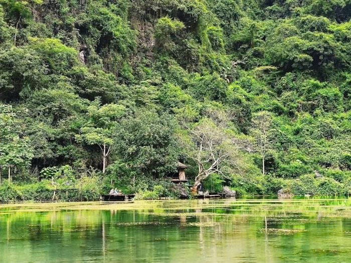 Không gian được phủ xanh, mang lại cảm giác thư thái - Ảnh: N.L