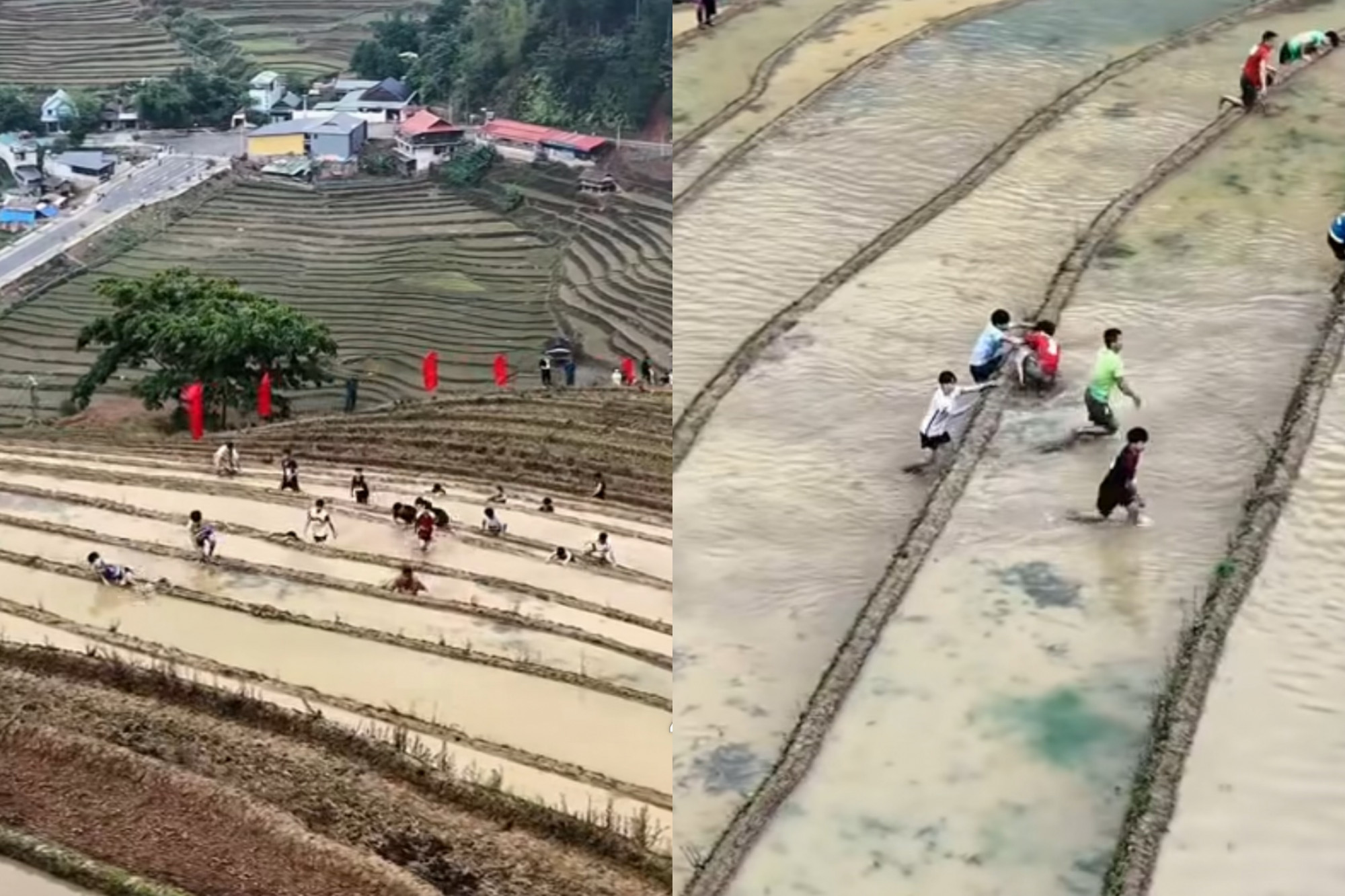 Cuộc thi leo ruộng bậc thang ở Mù Cang Chải thu hút nhiều người tham gia - Ảnh cắt từ clip