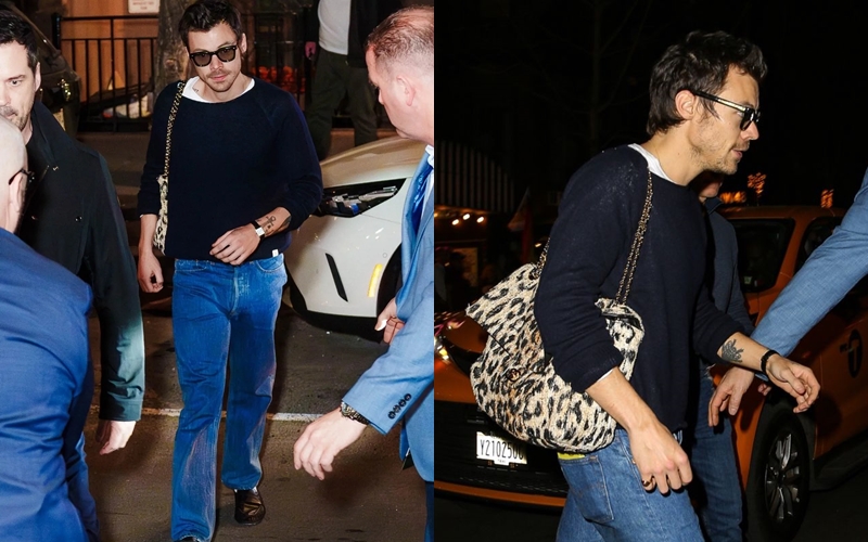 Harry Styles thích phối túi xách nữ họa tiết cùng set đồ nam tính - Ảnh: CQ