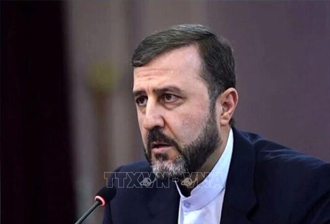 Thứ trưởng Ngoại giao Iran phụ trách các vấn đề pháp lý và quốc tế, ông Kazem Gharibabadi. Ảnh: IRNA/TTXVN