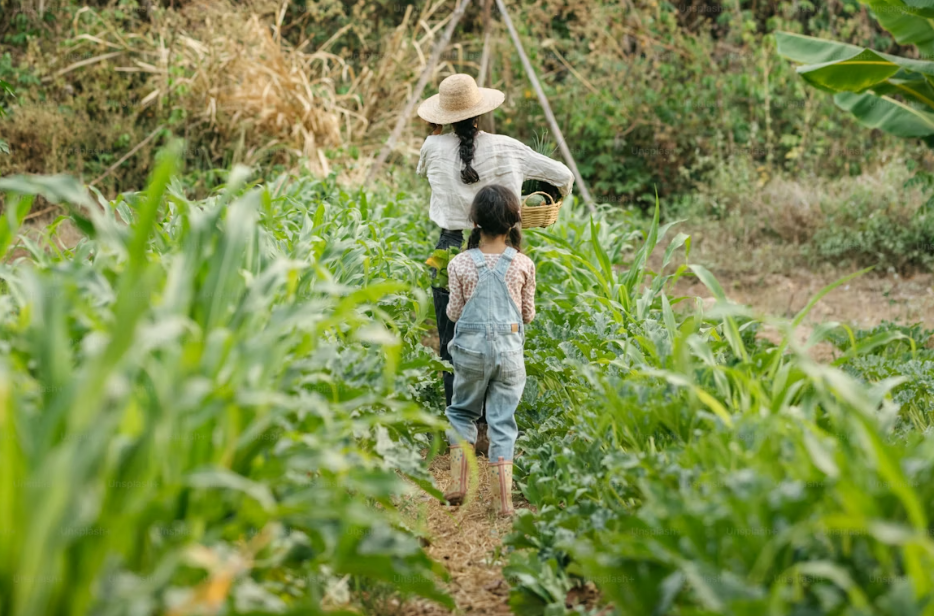 Caption (Ảnh minh họa)