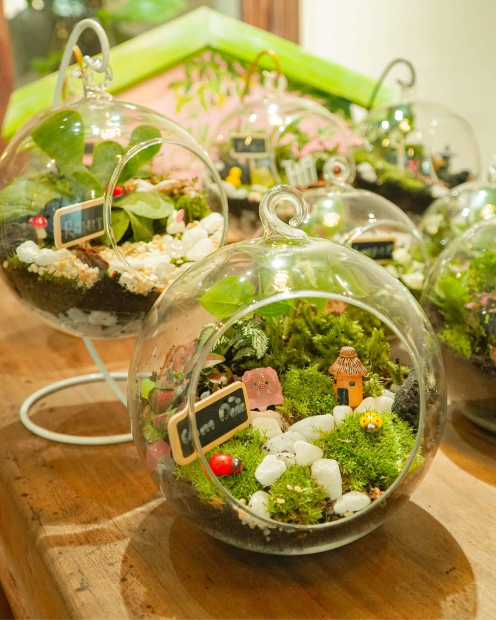 Xây dựng hệ sinh thái terrarium là công việc dành riêng cho những đôi tay khéo léo và tỉ mỉ. Workshop làm terrarium tại Vườn cây nhà Bơ (118 Nguyễn Cửu Vân, phường Gia Định) không chỉ giúp bạn sở hữu một vật trang trí vô cùng độc đáo mà còn giúp ngày nghỉ lễ của bạn trở nên nhẹ nhàng, từ tốn và đáng yêu hơn. Ngoài 2 mô hình chính là làm terrarium và vẽ chậu, Vườn cây nhà Bơ còn cung cấp các trải nghiệm nghệ thuật khác như vẽ tranh, làm nến, thêu punch, làm hoa kẽm nhung… hứa hẹn sẽ là điểm đến quen thuộc để xoa dịu và chữa lành tâm hồn cho bạn sau những giờ phút bộn bề của cuộc sống.