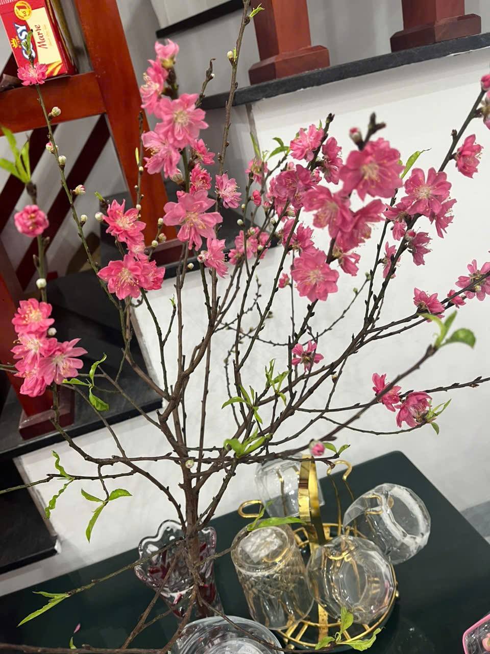 Tết đầu tiên trong căn nhà nhỏ với đầy niềm tự hào