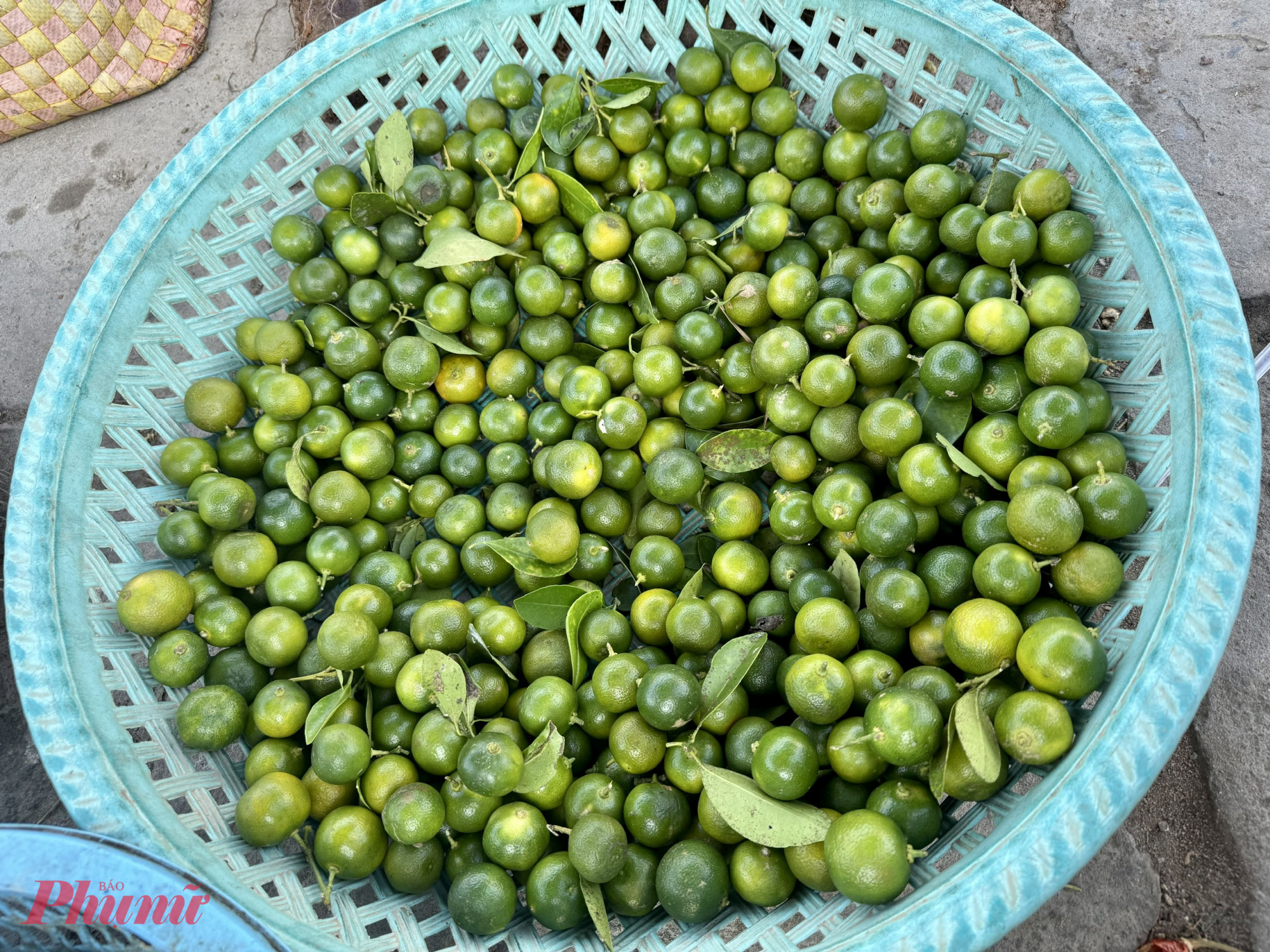 Tắc tại chợ đã có giá gần 30.000 đồng/kg - Ảnh: Thanh Hoa