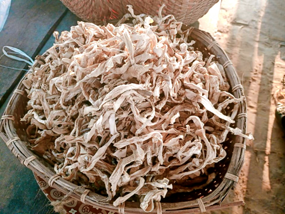 Bầu già xắt sợi phơi khô  - Ảnh do tác giả cung cấp