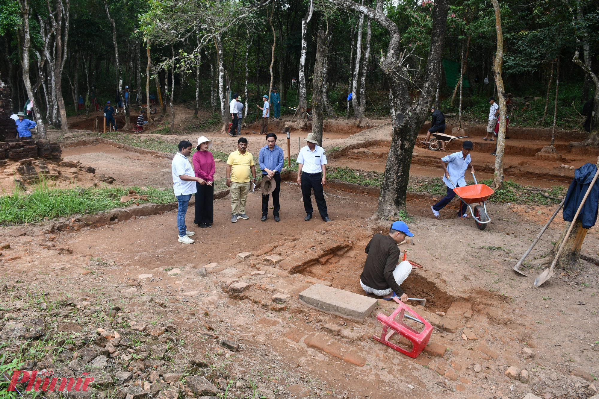 Các chuyên gia Ấn Độ hỗ trợ dự án.