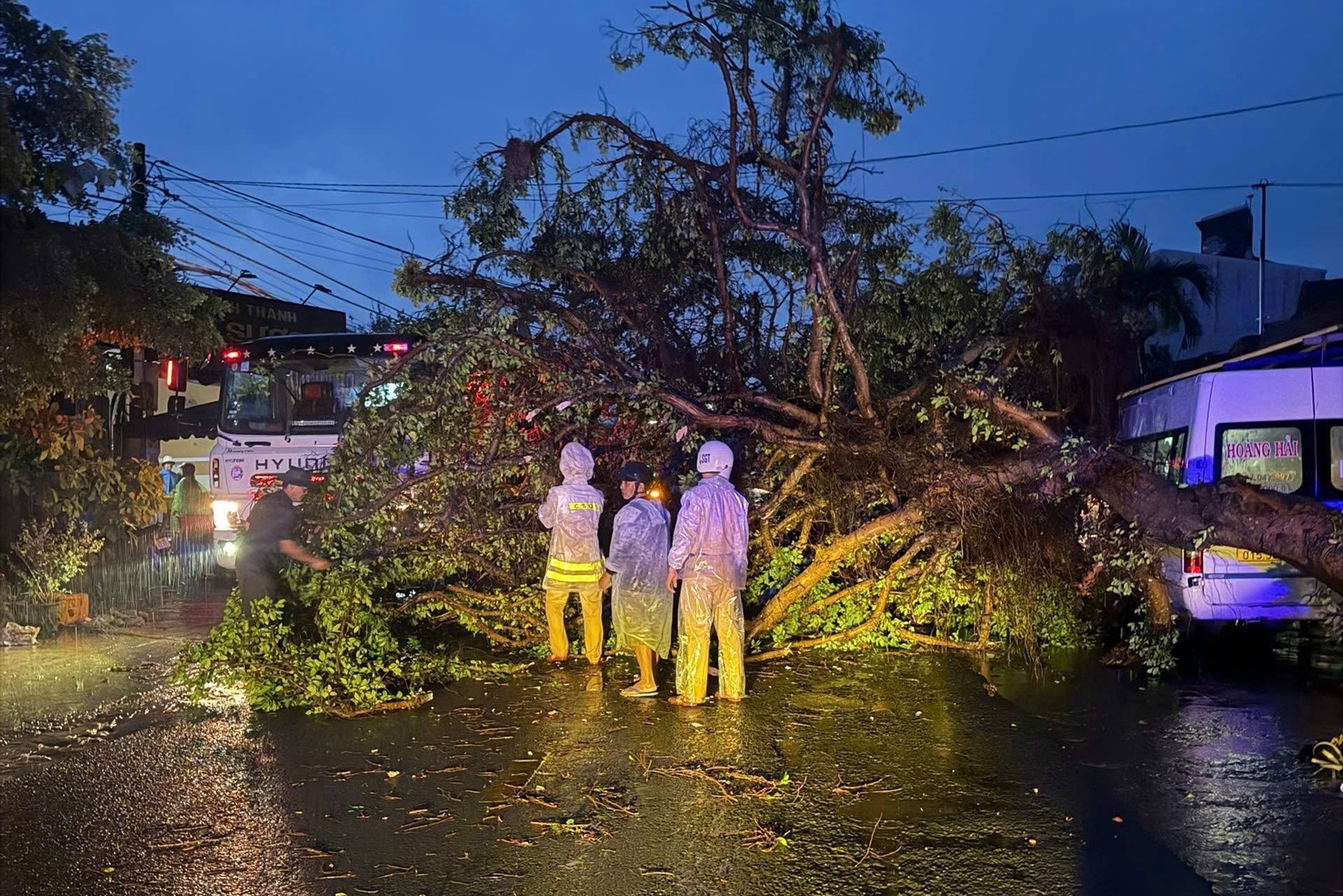 Nhiều cây xanh ngã gãy đổ ra đường, gây ùn tắc giao thông - ảnh: Phòng CSGT