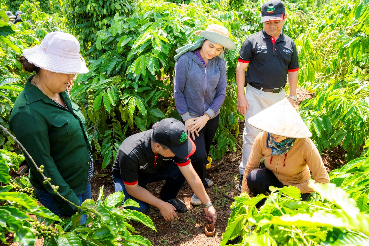 Cán bộ hỗ trợ nông nghiệp của Nestlé Việt Nam hướng dẫn nông dân trồng cà phê thực hành canh tác nông nghiệp tái sinh - Ảnh: T.M