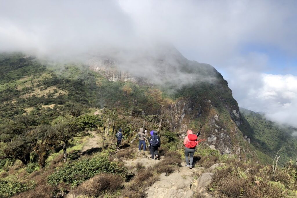 Các cung săn mây nổi tiếng siết quản lý, trekking tự phát đối mặt án phạt - Ảnh: Tổ ong adventure