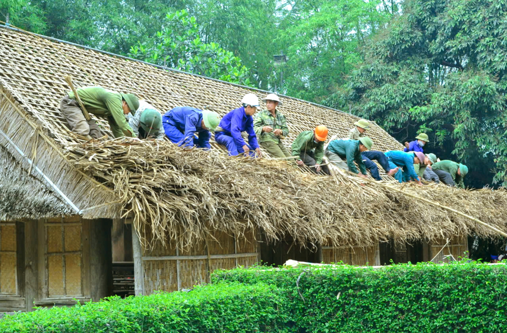 Mỗi năm 1 lần, ông Huệ cùng đội lợp tranh sẽ thay mới những mái nhà tranh trong khu di tích quốc gia đặc biệt Kim Liên