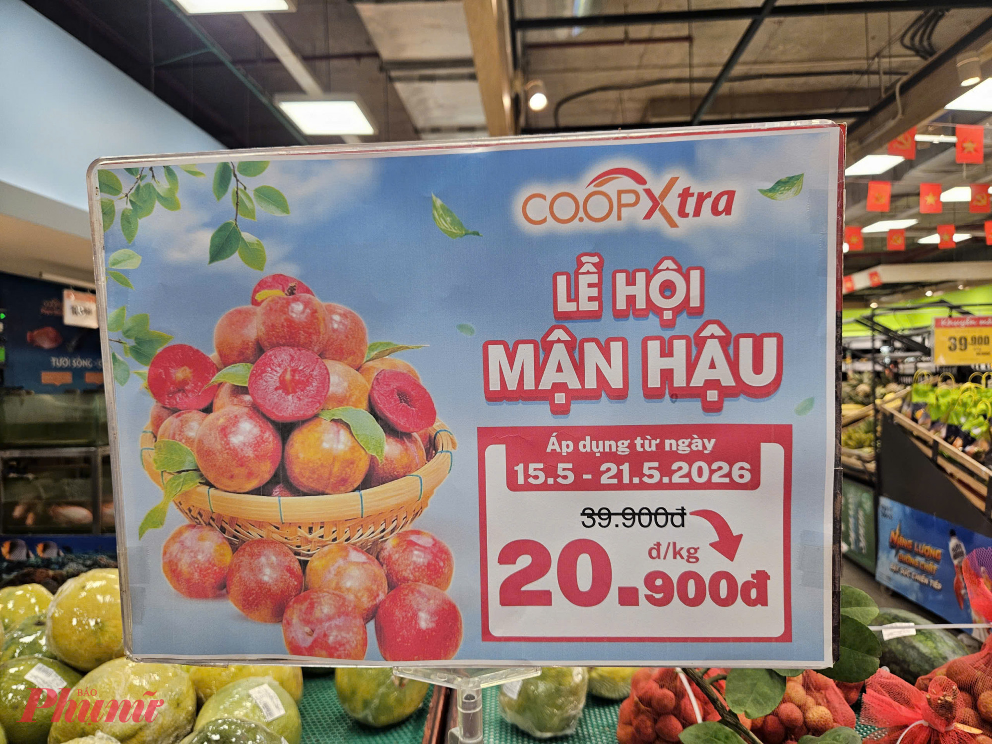 Saigon Co.op dự kiến tiêu thụ 300 tấn mận hậu Sơn La trong tuần đầu tiên triển khai lễ hội 