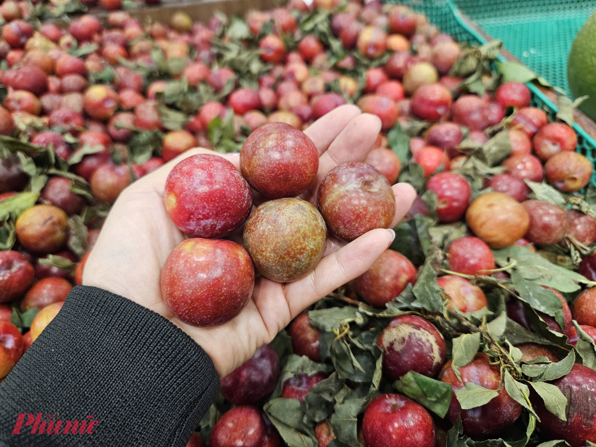 Mận hậu thường có màu đỏ tím bắt mắt, lên hình đẹp, dễ làm các món lắc muối ớt, ngâm hay ăn lạnh nên khá hợp với giới trẻ và xu hướng ăn vặt mùa hè.