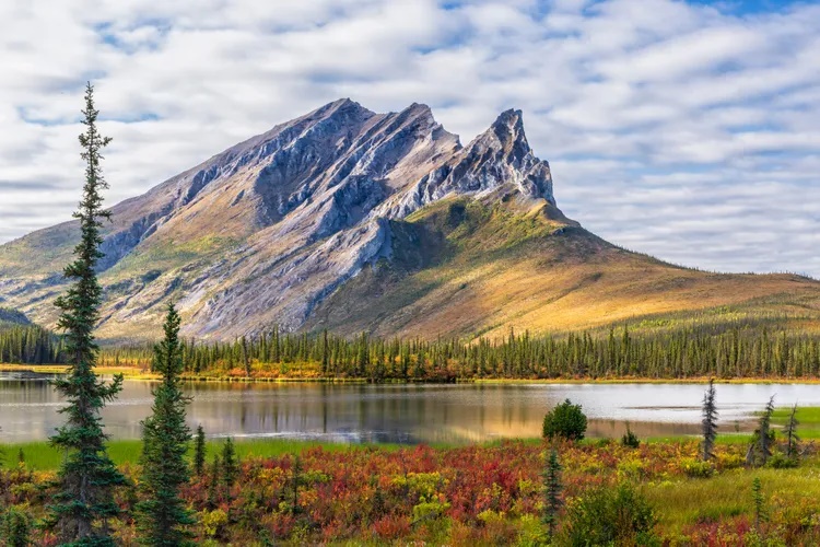 Dãy núi Brooks của bang Alaska hùng vĩ và hẻo lánh. Ở đây có các đỉnh núi cao khoảng 2.760m phủ đầy tuyết. Brooks còn nằm trong vùng cực quang phía trên vòng Bắc Cực và có trăm nghìn con tuần lộc đi qua vào mùa di cư. Hãy đến đây từ tháng 6 đến tháng 9 để đi bộ đường dài và chèo thuyền vượt thác. Nếu đến vào mùa đông thì nên trượt tuyết cùng “biệt đội” chó nhà Arctic Hive. 