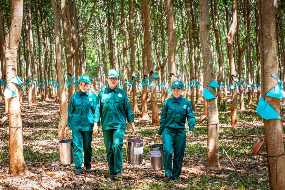 Những nữ công nhân đã đóng góp bền bỉ vào sự phát triển của ngành cao su Việt Nam gần 100 năm qua - ẢNH: CÁT QUÂN