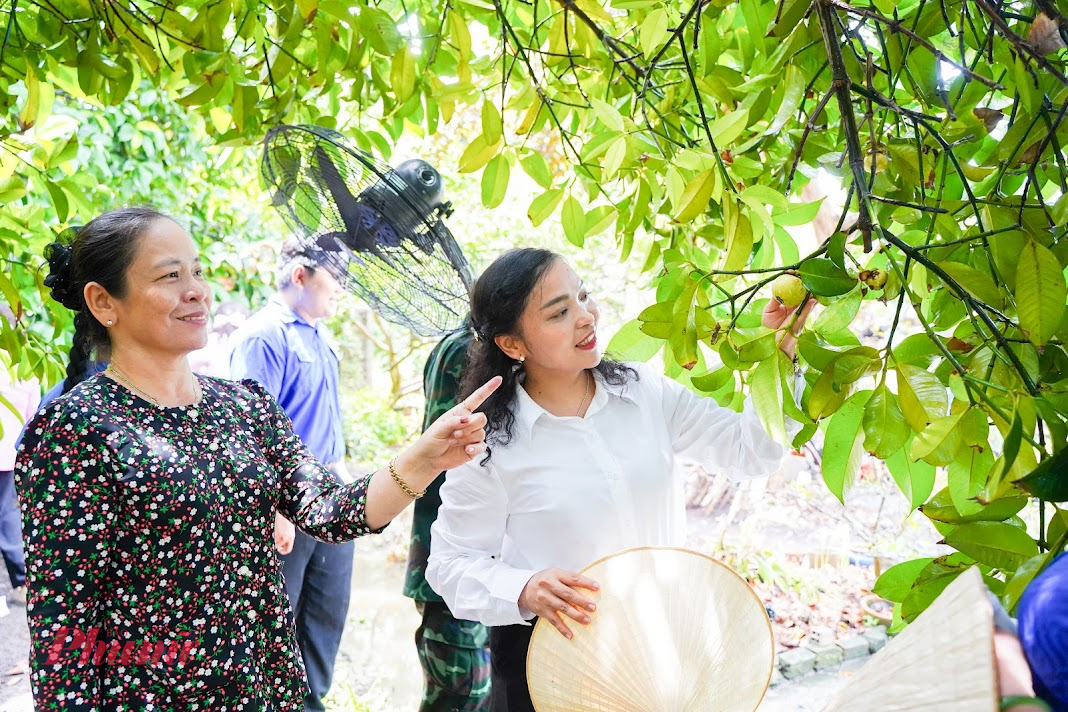 Đại biểu và người dân tham quan vườn cây ăn trái xanh tốt, trải nghiệm nét đẹp đặc trưng của vùng đất miệt vườn Thuận An