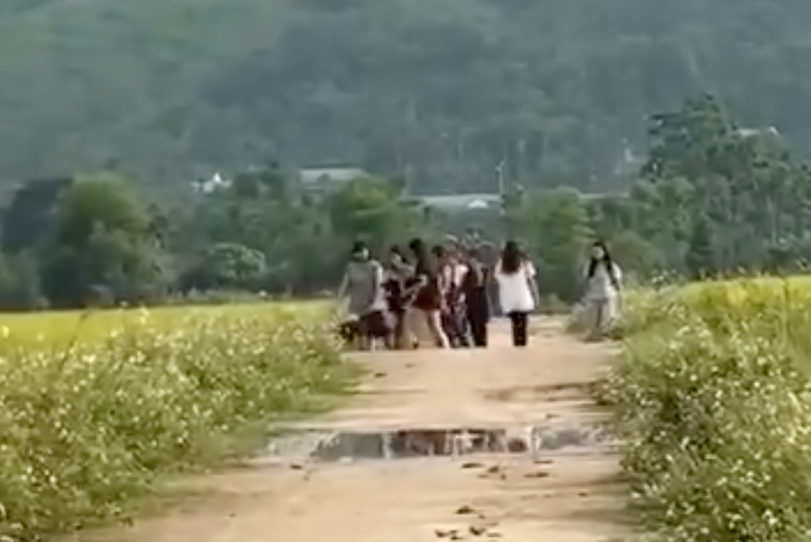 Nhóm nữ sinh quây đánh, giật tóc L. - Ảnh: Khánh Trung
