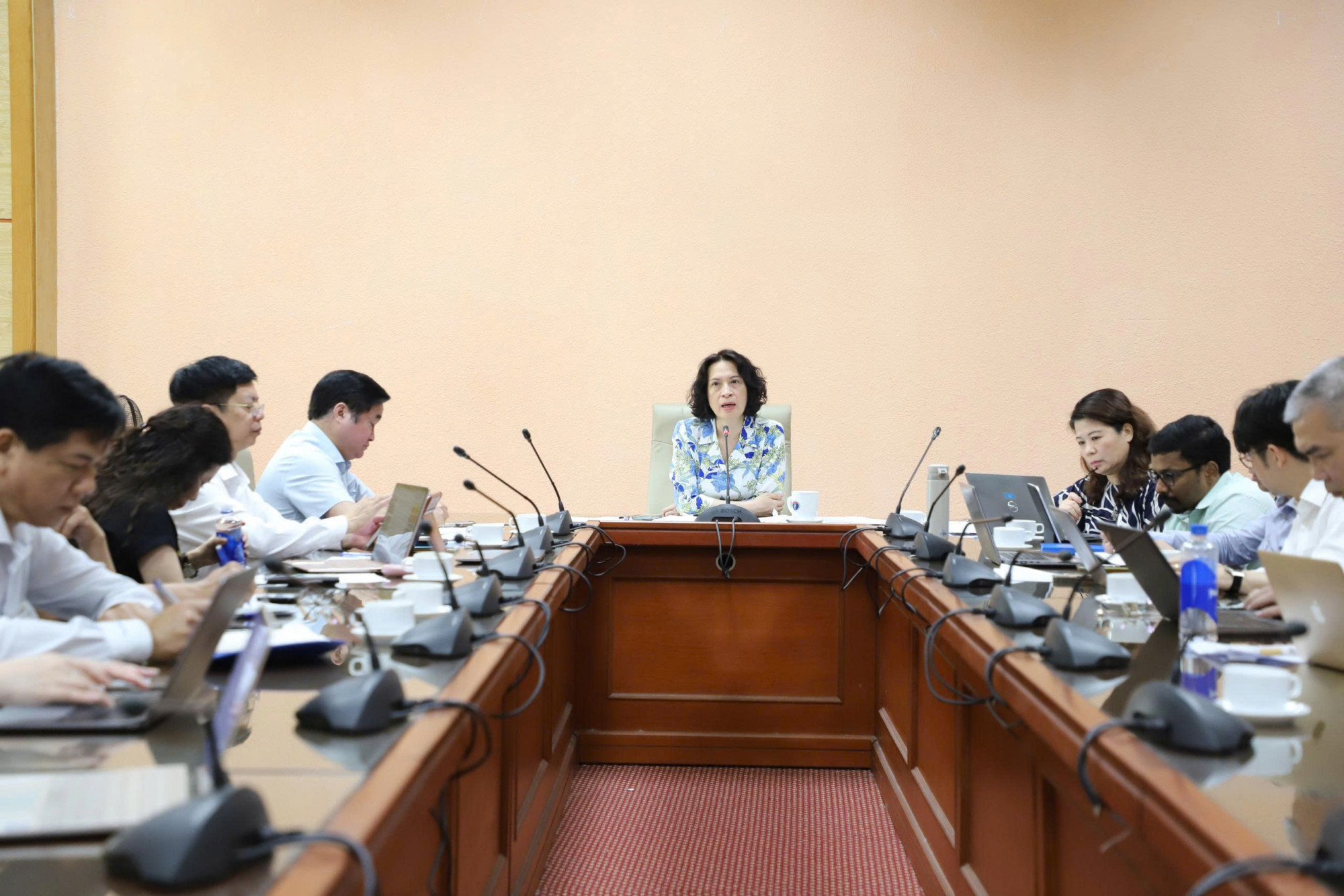 Thứ trưởng Bộ Y tế Nguyễn Thị Liên Hương chủ trì cuộc họp - ảnh: Tuấn Dũng