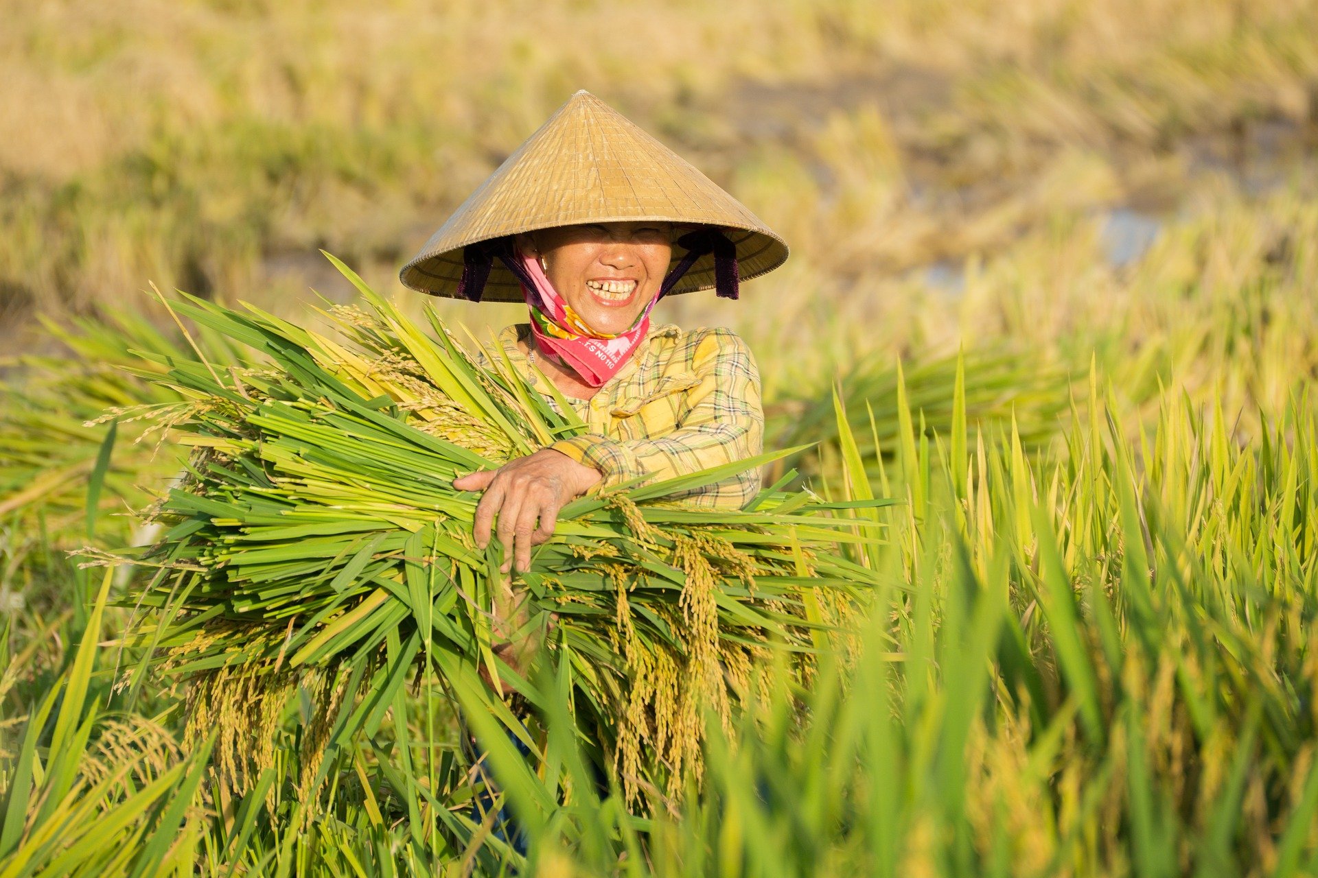 Ảnh: TruongDinhAnh/Embassy of Canada to Vietnam/Oxfam