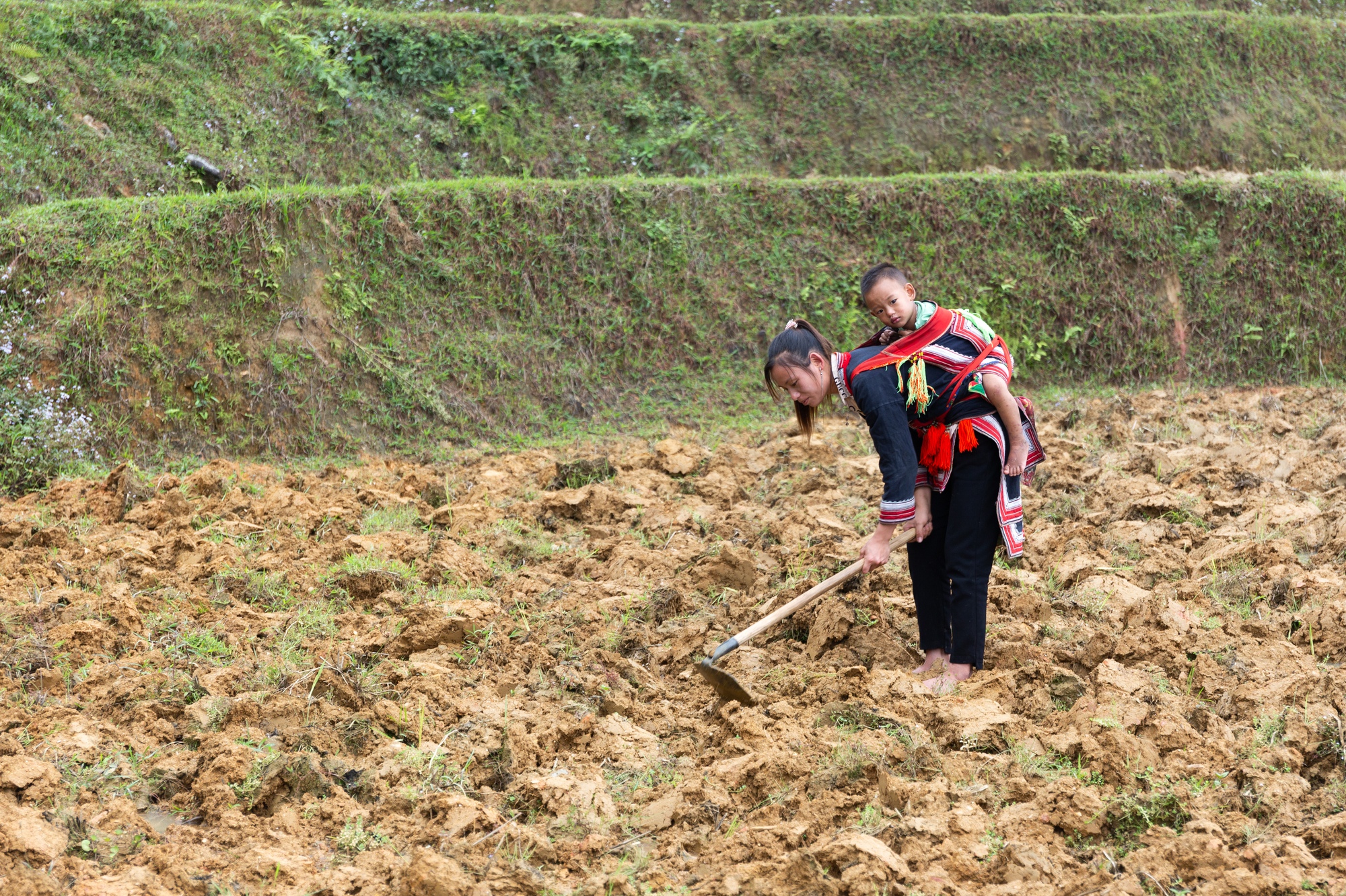 Nhiều phụ nữ nông dân ở Việt Nam đang phải đóng vai trò kép trong gia đình - Ảnh: dotchuoinon