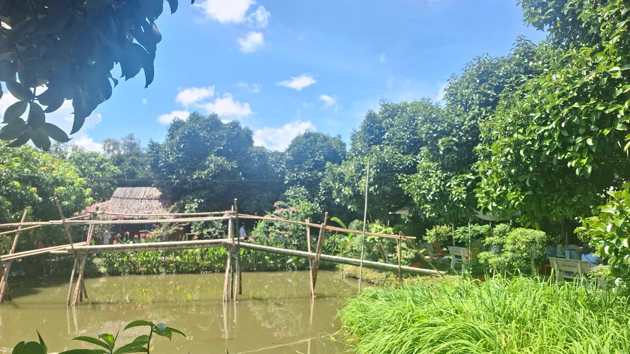 Vườn măng cụt của ông Nguyễn Văn Tấn - xã Thạnh Xuân, TP Cần Thơ được thiết kế các tiểu cảnh để làm du lịch... Ảnh: CTV