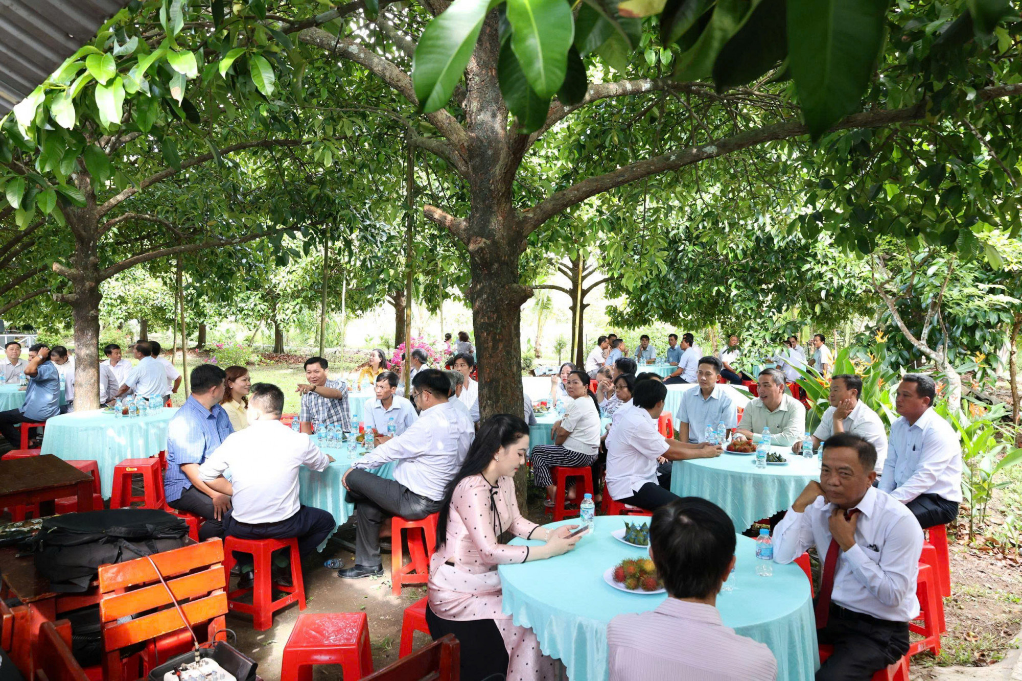 Có rất đông nông dân, cùng các hợp tác xã, tổ hợp tác tham dự hội nghị... Ảnh: CTV