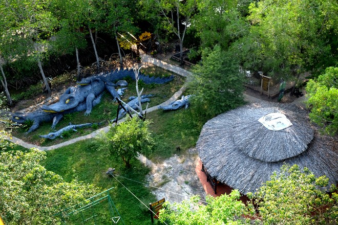 Ảnh: Vàm Sát ecopark