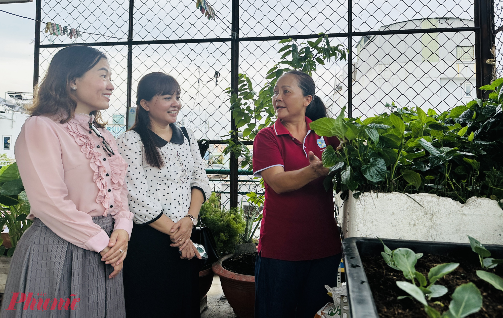 Các đại biểu tham quan nông trại xanh tại nhà bà Vũ Thị Hoa. Ảnh: NT