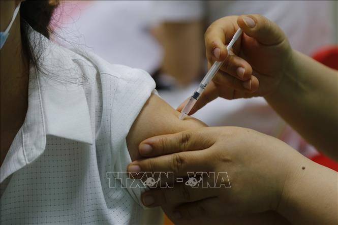 Tiêm vaccine là biện pháp phòng bệnh hiệu quả. Ảnh: TTXVN